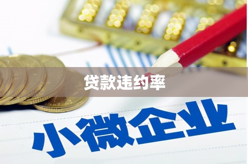 壮围贷款违约率