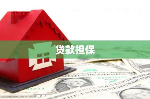 海港贷款担保