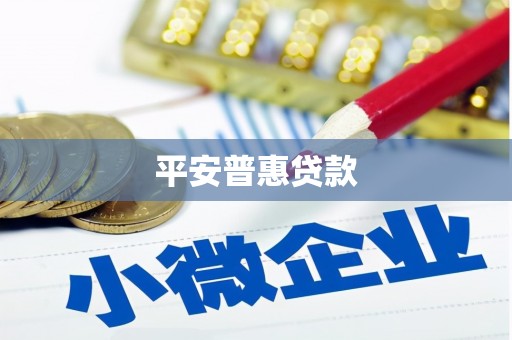 门源平安普惠贷款