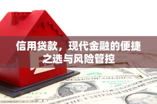 鄱阳信用贷款，现代金融的便捷之选与风险管控