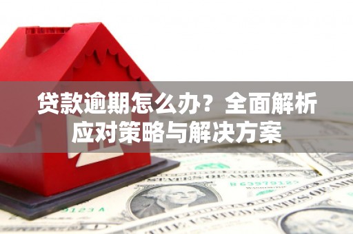 岭东贷款逾期怎么办？全面解析应对策略与解决方案