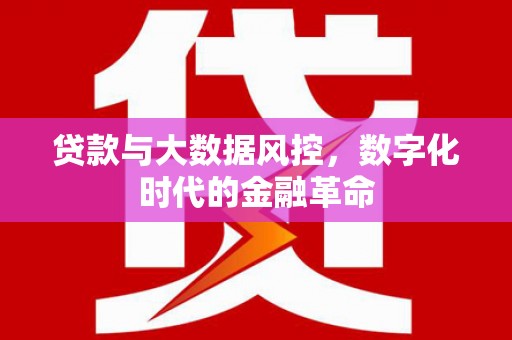 南安贷款与大数据风控，数字化时代的金融革命