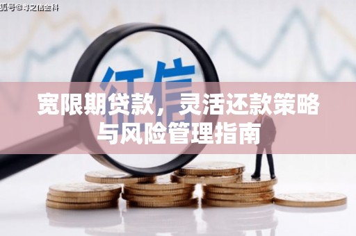 林西宽限期贷款，灵活还款策略与风险管理指南