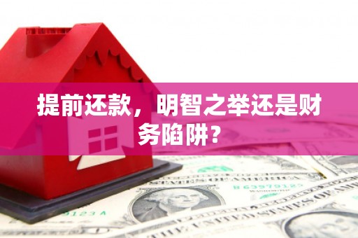 镇巴提前还款，明智之举还是财务陷阱？