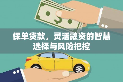 硚口保单贷款，灵活融资的智慧选择与风险把控