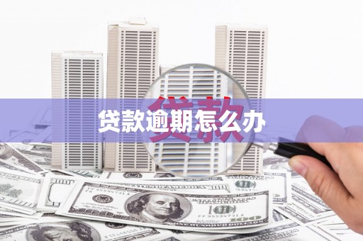 进贤贷款逾期怎么办