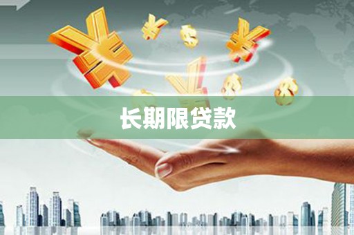 永修长期限贷款