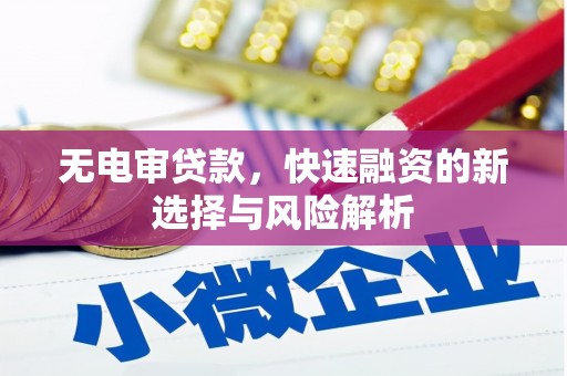 馆陶无电审贷款，快速融资的新选择与风险解析
