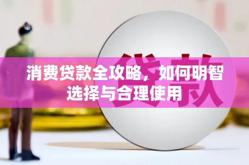 德州消费贷款全攻略，如何明智选择与合理使用