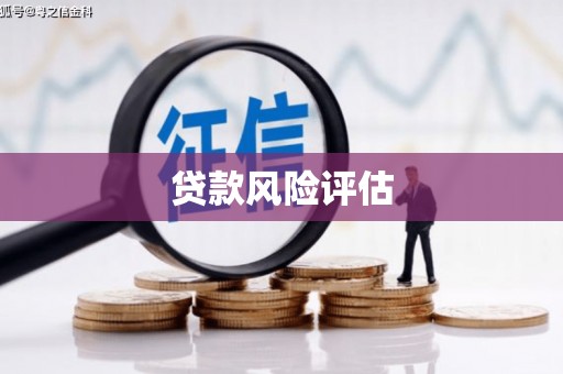 长岭贷款风险评估