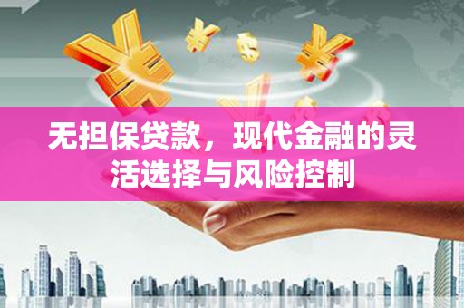 乐东无担保贷款，现代金融的灵活选择与风险控制