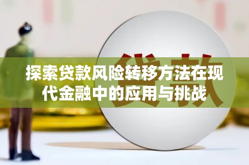 大甲探索贷款风险转移方法在现代金融中的应用与挑战