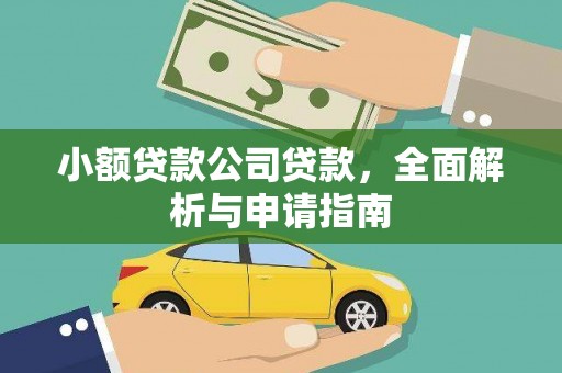 萝北小额贷款公司贷款，全面解析与申请指南