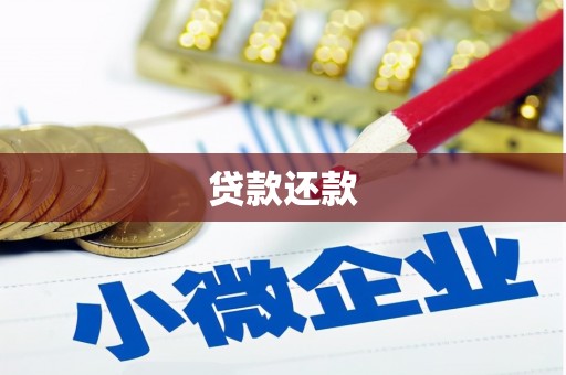 大余贷款还款