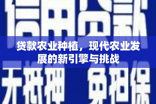 海兴贷款农业种植，现代农业发展的新引擎与挑战