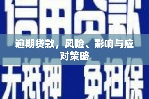 靖西逾期贷款，风险、影响与应对策略