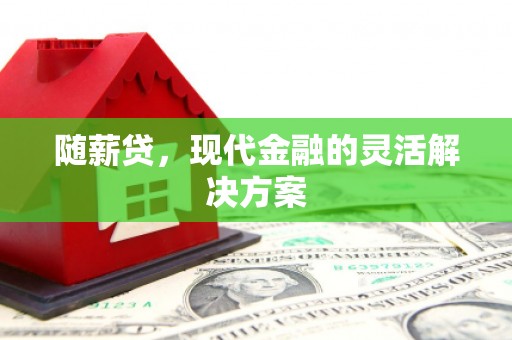 汾阳随薪贷，现代金融的灵活解决方案