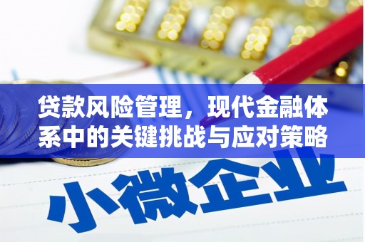 东西湖贷款风险管理，现代金融体系中的关键挑战与应对策略