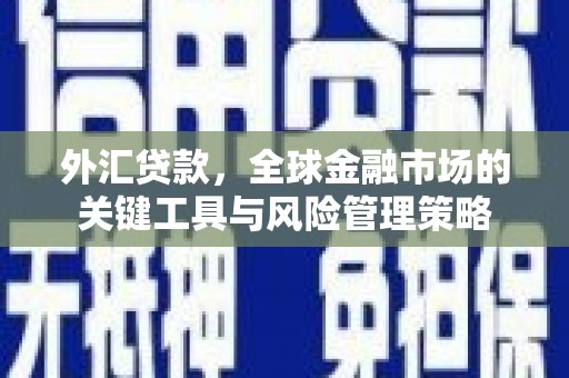 全州外汇贷款，全球金融市场的关键工具与风险管理策略