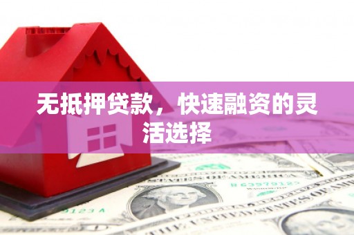 光泽无抵押贷款，快速融资的灵活选择