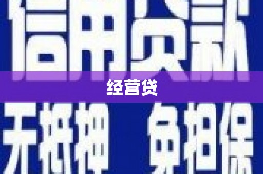 秀水经营贷