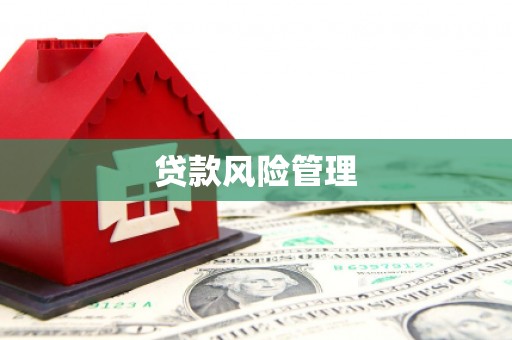 图们贷款风险管理