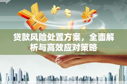 浑源贷款风险处置方案，全面解析与高效应对策略