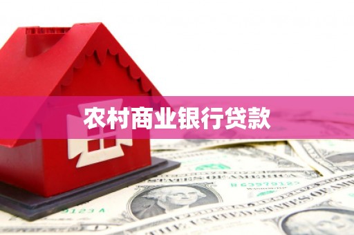 庐阳农村商业银行贷款