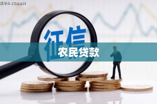 定兴农民贷款