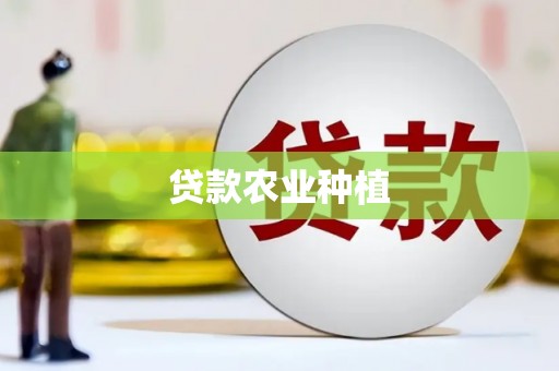崆峒贷款农业种植