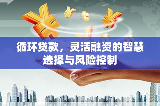 康保循环贷款，灵活融资的智慧选择与风险控制