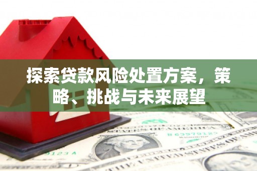 琼山探索贷款风险处置方案，策略、挑战与未来展望
