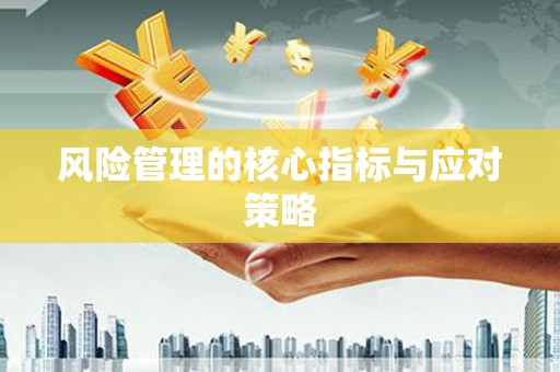 瑞金风险管理的核心指标与应对策略