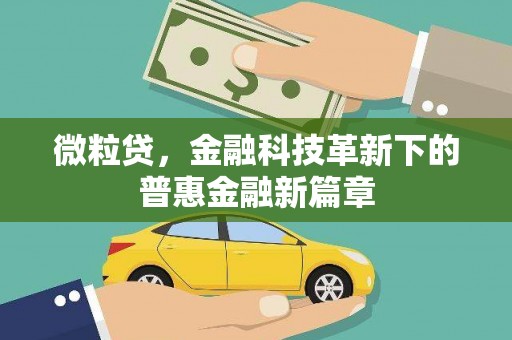 瑞穗微粒贷，金融科技革新下的普惠金融新篇章