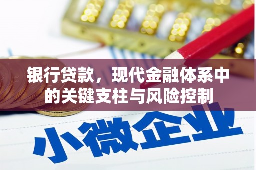 南头银行贷款，现代金融体系中的关键支柱与风险控制