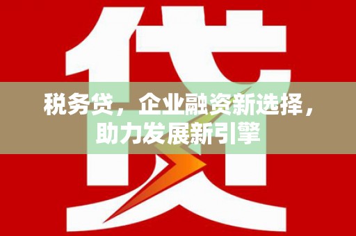 怒江税务贷，企业融资新选择，助力发展新引擎