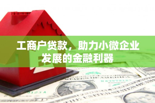 秀水工商户贷款，助力小微企业发展的金融利器