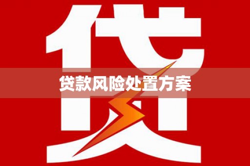 邓州贷款风险处置方案