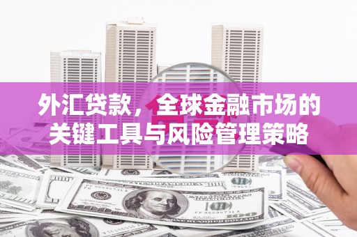 鲅鱼圈外汇贷款，全球金融市场的关键工具与风险管理策略