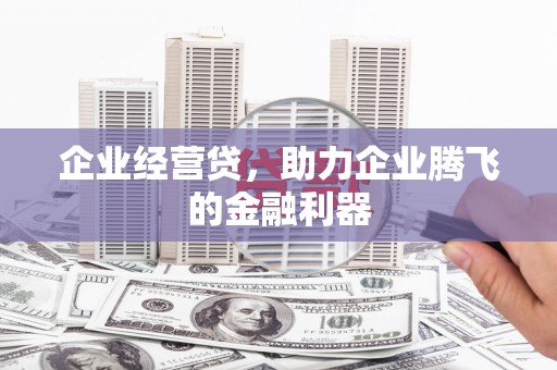 莲都企业经营贷，助力企业腾飞的金融利器