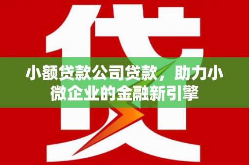 新平小额贷款公司贷款，助力小微企业的金融新引擎