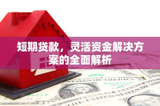 林内短期贷款，灵活资金解决方案的全面解析