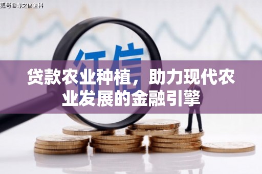 保亭贷款农业种植，助力现代农业发展的金融引擎
