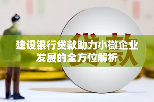 南陵建设银行贷款助力小微企业发展的全方位解析