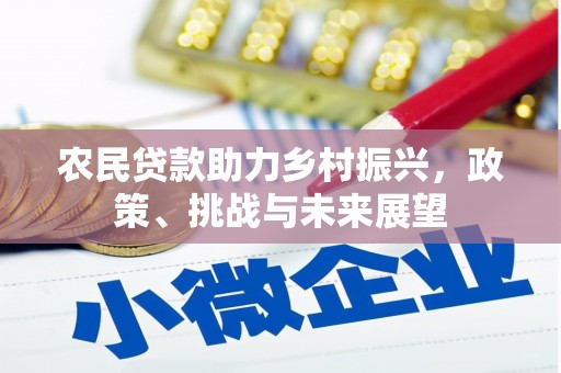 溧水农民贷款助力乡村振兴，政策、挑战与未来展望