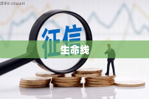 大厂生命线