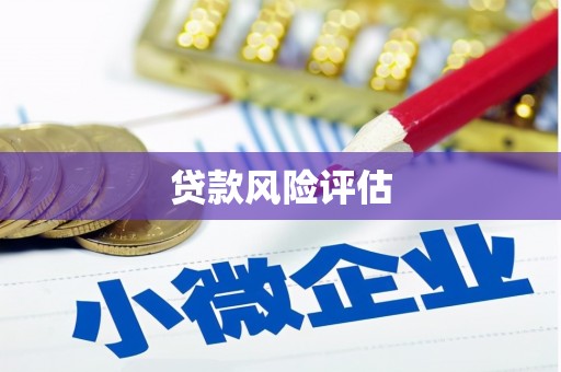 大林贷款风险评估