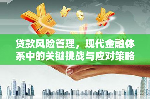 临西贷款风险管理，现代金融体系中的关键挑战与应对策略