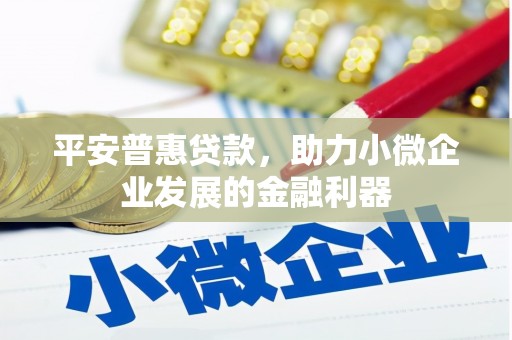商南平安普惠贷款，助力小微企业发展的金融利器