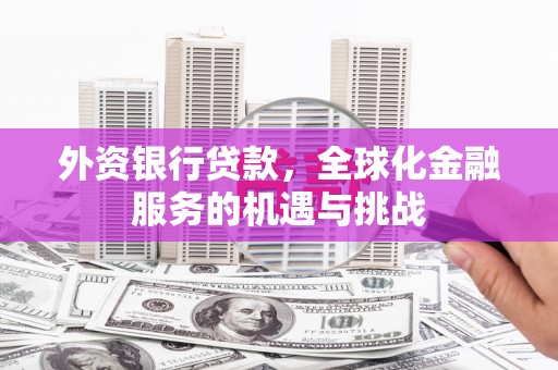 平南外资银行贷款，全球化金融服务的机遇与挑战